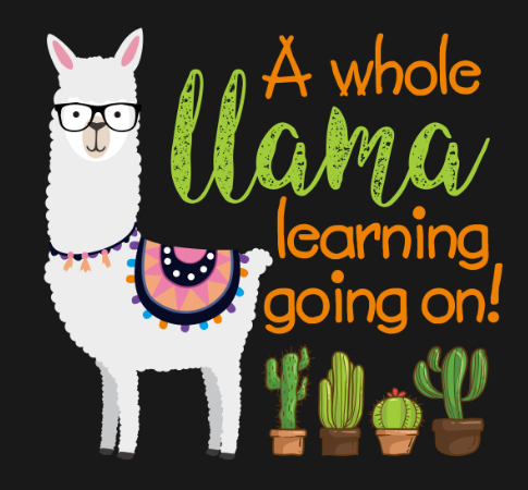 llama 